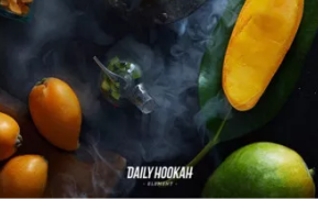 Табак для кальяна Daily Hookah (Дейли Хука)