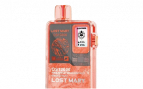 LOST MARY OS12000