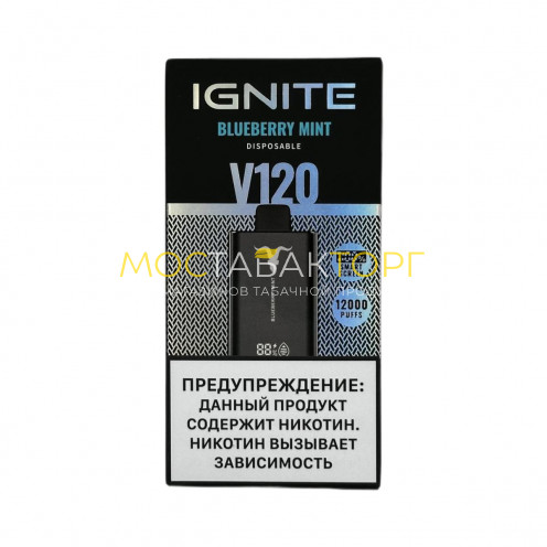 IGNITE V 120 12000 Черника мята 2%