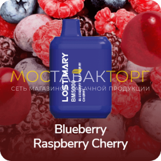 Электронная сигарета LOST MARY BM5000 Blueberry Raspberry Cherry (Черника Малина Вишня)